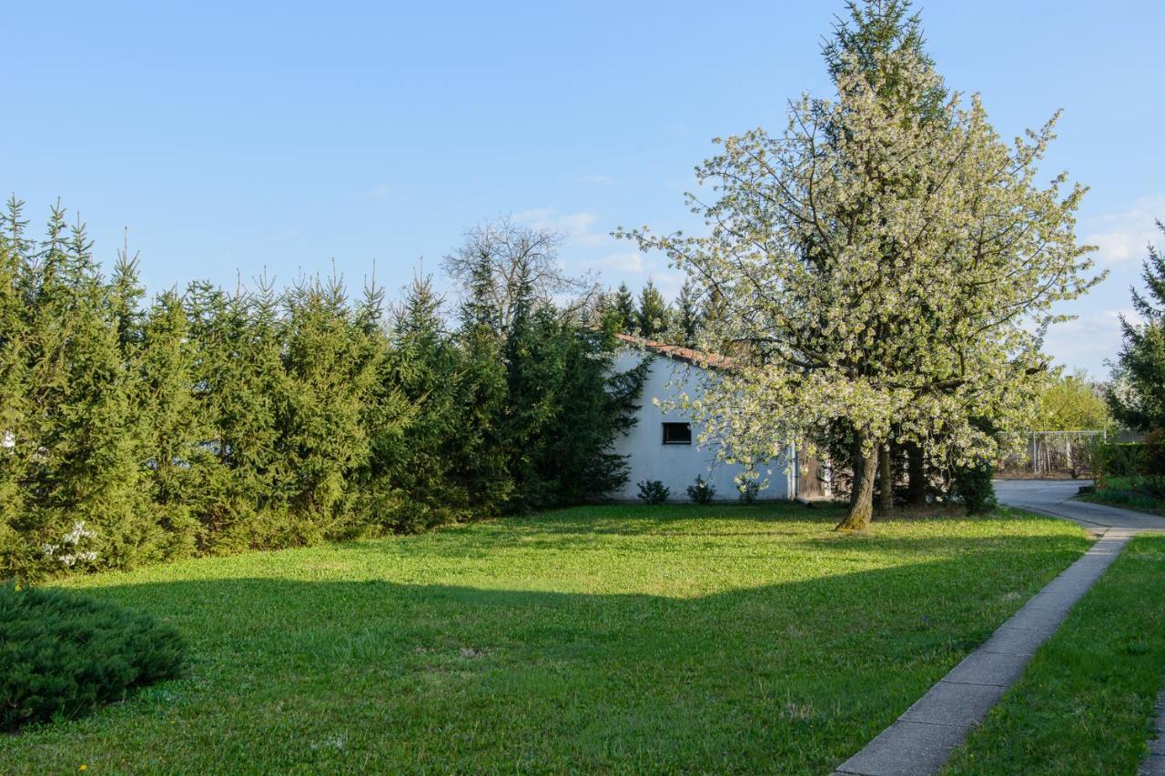 Apartamento Mi12 Eger Exterior foto
